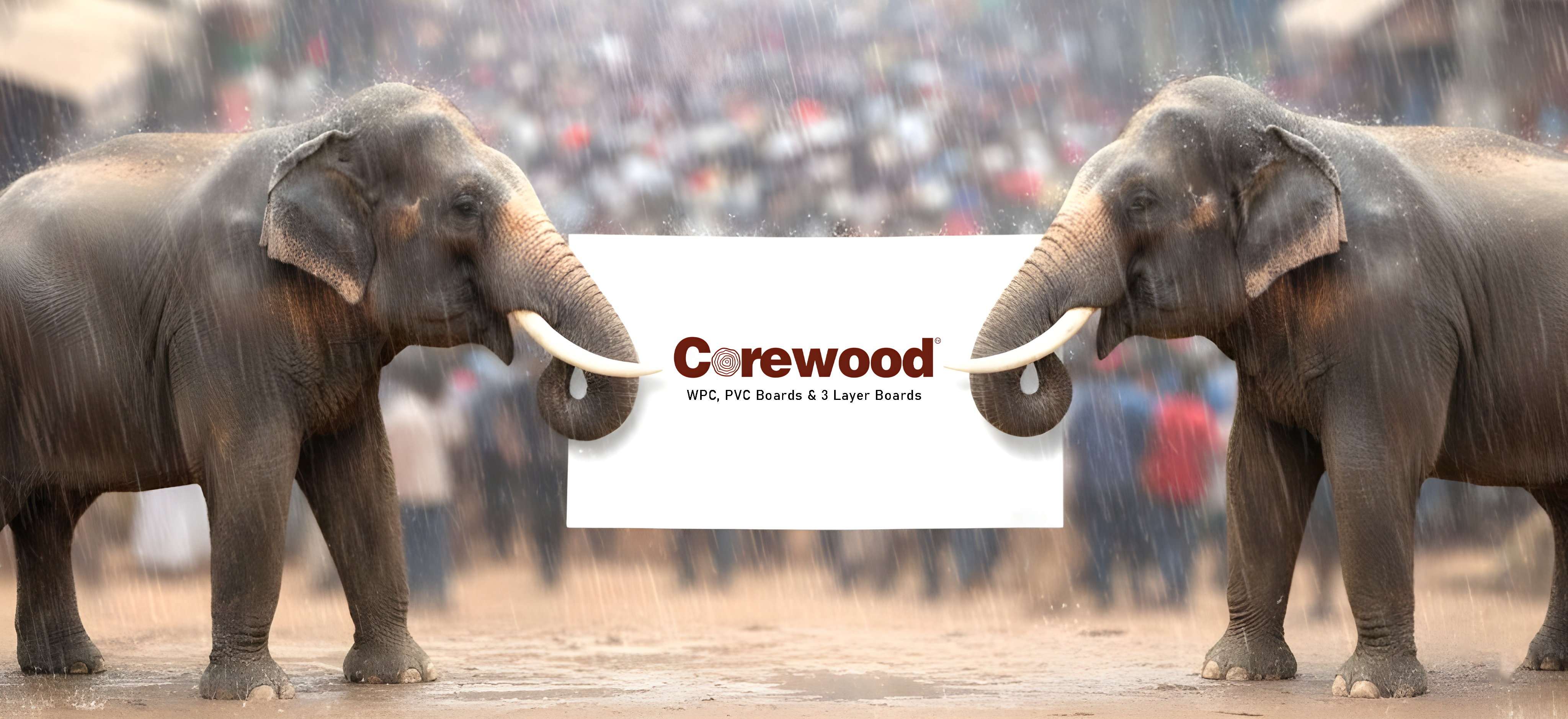 COREWOOD Boards Built for Indian and Kerala Humid and Coastal Climate Conditions